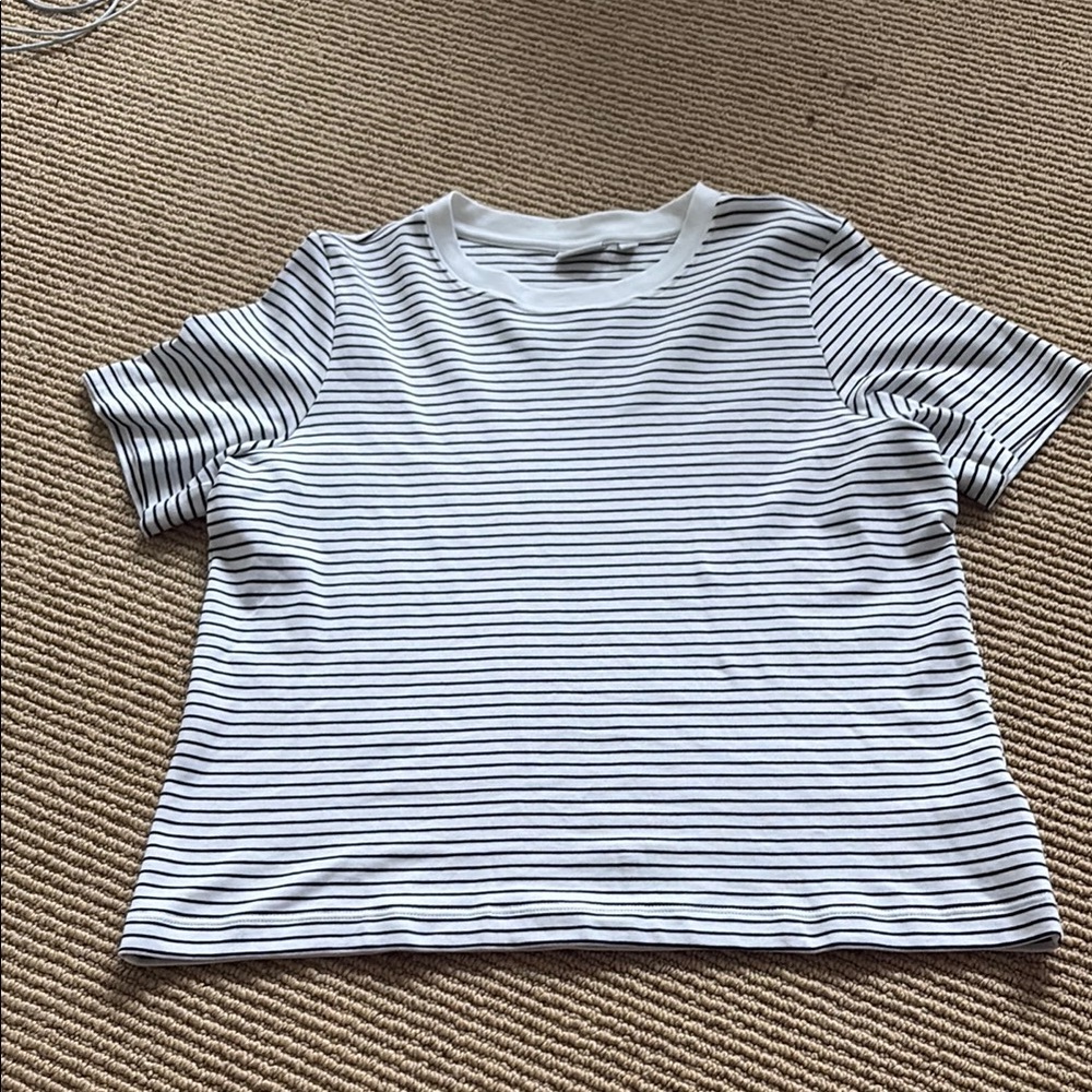 Babaton Black and White Striped Tee